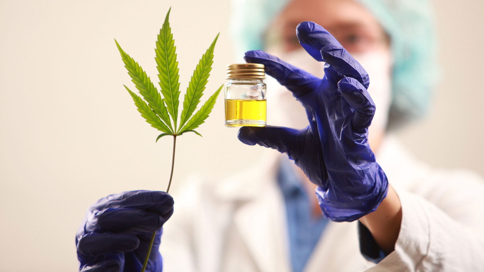 Se promulgó la Ley de Cannabis Medicinal: los detalles de la norma
