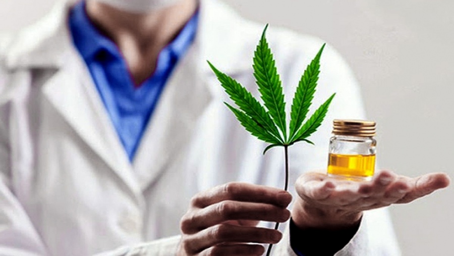 Por primera vez, Balcarce dialoga sobre Cannabis medicinal