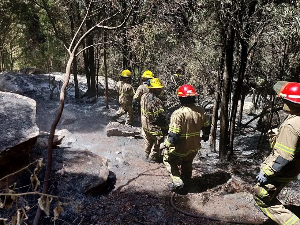 Más de 20 Bomberos trabajaron durante 12 horas en un foco de incendio en sierra "La Barrosa"